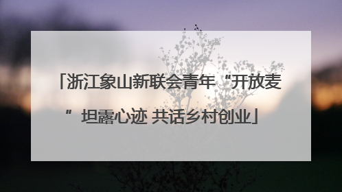 浙江象山新联会青年“开放麦”坦露心迹 共话乡村创业