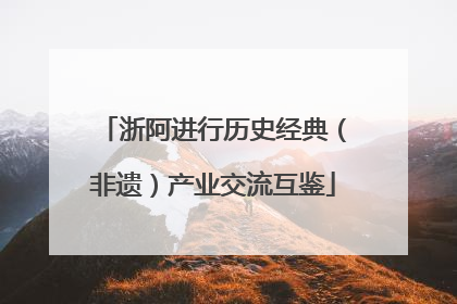浙阿进行历史经典（非遗）产业交流互鉴