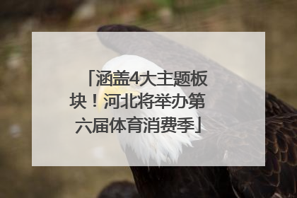 涵盖4大主题板块！河北将举办第六届体育消费季