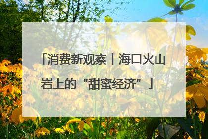 消费新观察丨海口火山岩上的“甜蜜经济”