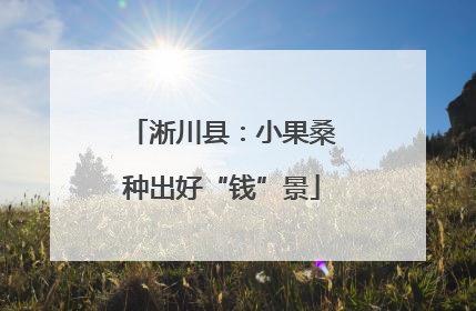 淅川县：小果桑种出好“钱”景