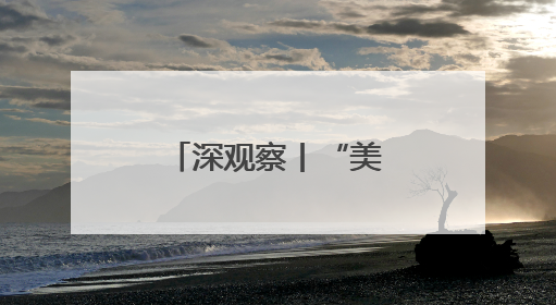 深观察丨“美国的运作是基于心血来潮”