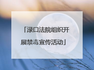 渌口法院组织开展禁毒宣传活动