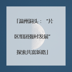 温州洞头：“片区组团强村发展”探索共富新路