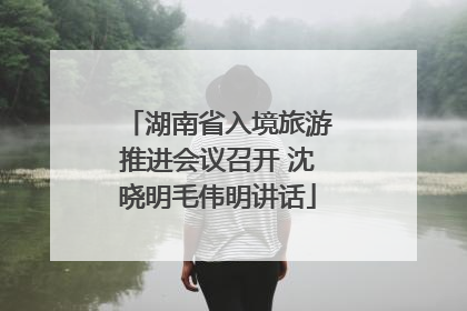 湖南省入境旅游推进会议召开 沈晓明毛伟明讲话