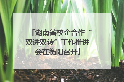 湖南省校企合作“双进双转”工作推进会在衡阳召开