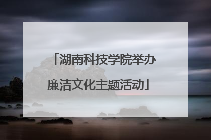 湖南科技学院举办廉洁文化主题活动