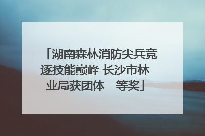 湖南森林消防尖兵竞逐技能巅峰 长沙市林业局获团体一等奖