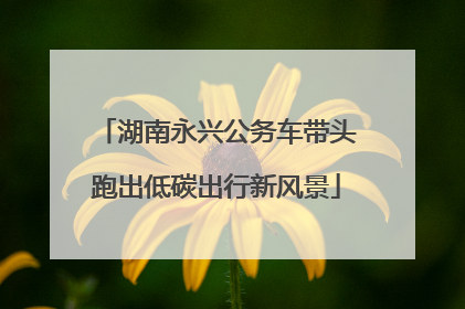 湖南永兴公务车带头跑出低碳出行新风景