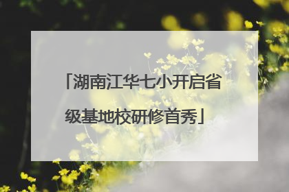 湖南江华七小开启省级基地校研修首秀