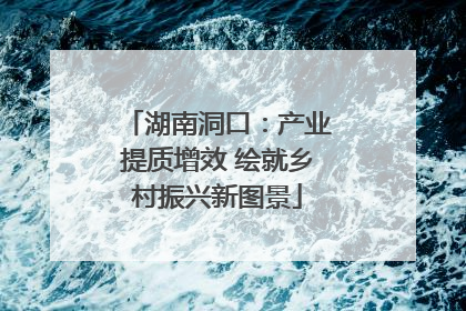 湖南洞口：产业提质增效 绘就乡村振兴新图景
