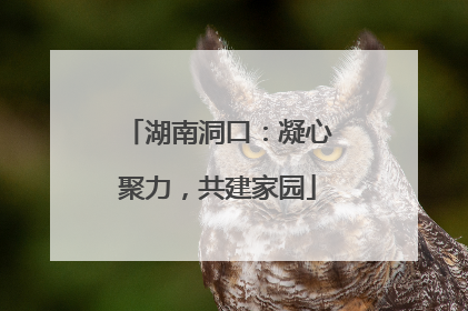 湖南洞口：凝心聚力，共建家园