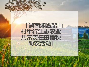 湖南湘潭韶山村举行生态农业共富责任田插秧助农活动