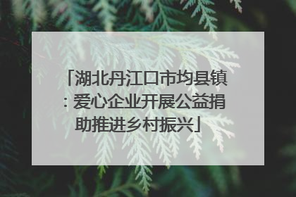 湖北丹江口市均县镇：爱心企业开展公益捐助推进乡村振兴