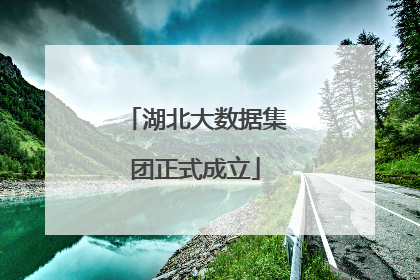 湖北大数据集团正式成立