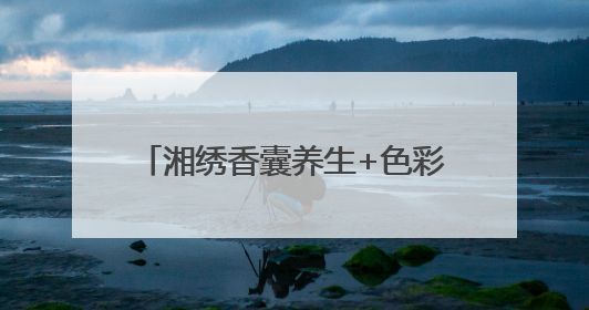 湘绣香囊养生+色彩风暴：梅溪湖艺术博物馆文化体验盛宴