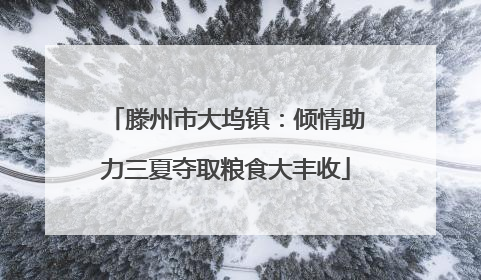 滕州市大坞镇：倾情助力三夏夺取粮食大丰收