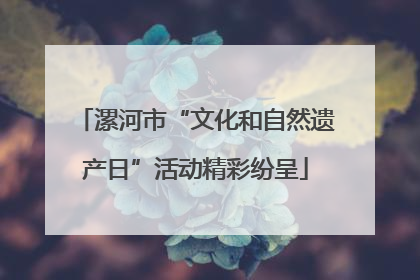 漯河市“文化和自然遗产日”活动精彩纷呈