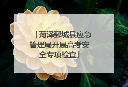菏泽鄄城县应急管理局开展高考安全专项检查