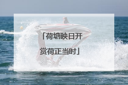 荷塘映日开 赏荷正当时