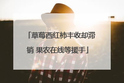 草莓西红柿丰收却滞销 果农在线等援手