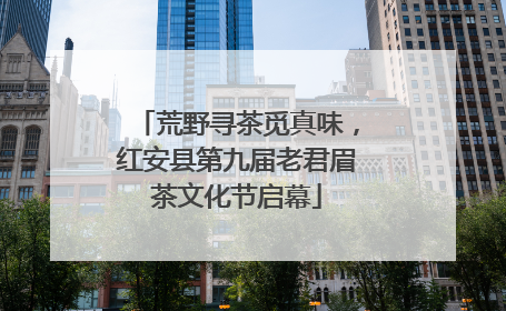 荒野寻茶觅真味，红安县第九届老君眉茶文化节启幕