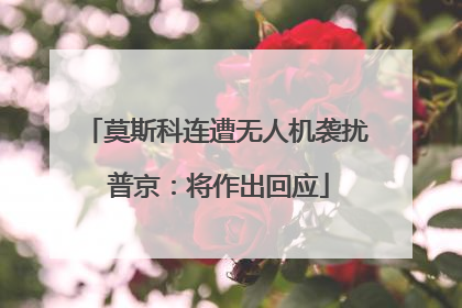 莫斯科连遭无人机袭扰 普京：将作出回应