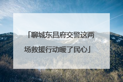 聊城东昌府交警这两场救援行动暖了民心