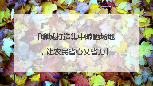 聊城打造集中晾晒场地，让农民省心又省力
