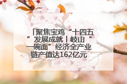 聚焦宝鸡“十四五”发展成就丨岐山“一碗面”经济全产业链产值达162亿元 入选全国典型县