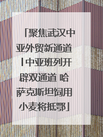聚焦武汉中亚外贸新通道│中亚班列开辟双通道 哈萨克斯坦饲用小麦将抵鄂