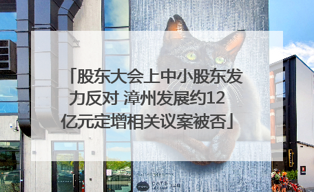 股东大会上中小股东发力反对 漳州发展约12亿元定增相关议案被否
