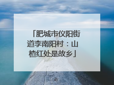 肥城市仪阳街道李南阳村：山楂红处是故乡