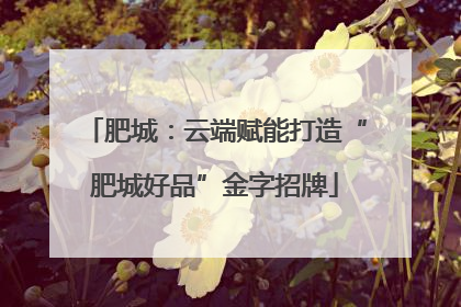 肥城：云端赋能打造“肥城好品”金字招牌