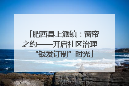 肥西县上派镇：窗帘之约——开启社区治理“银发订制”时光