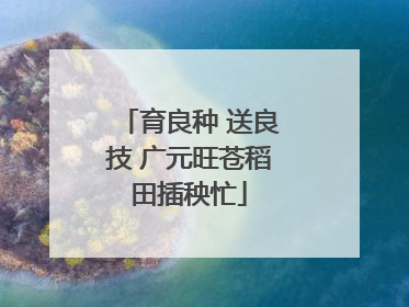 育良种 送良技 广元旺苍稻田插秧忙