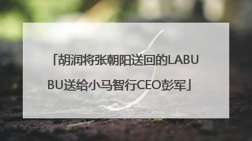 胡润将张朝阳送回的LABUBU送给小马智行CEO彭军