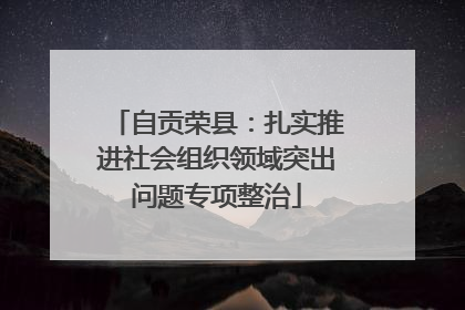 自贡荣县：扎实推进社会组织领域突出问题专项整治