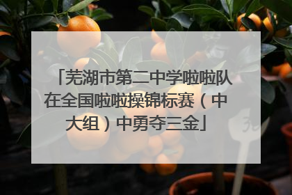 芜湖市第二中学啦啦队在全国啦啦操锦标赛（中大组）中勇夺三金