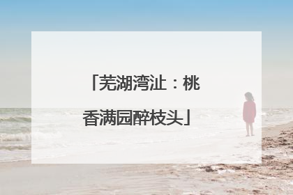 芜湖湾沚：桃香满园醉枝头