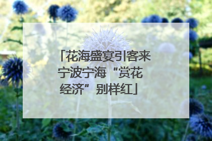 花海盛宴引客来 宁波宁海“赏花经济”别样红