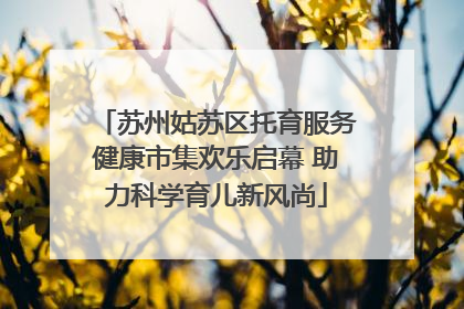 苏州姑苏区托育服务健康市集欢乐启幕 助力科学育儿新风尚