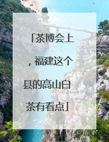 茶博会上，福建这个县的高山白茶有看点