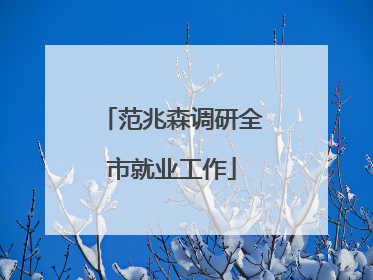 范兆森调研全市就业工作