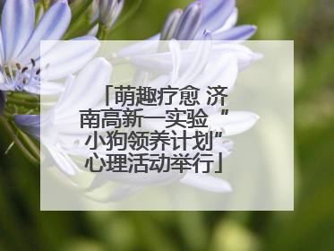 萌趣疗愈 济南高新一实验“小狗领养计划”心理活动举行