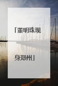 董明珠现身郑州