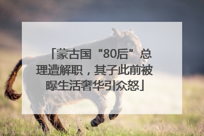 蒙古国“80后”总理遭解职，其子此前被曝生活奢华引众怒