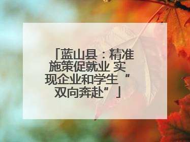 蓝山县：精准施策促就业 实现企业和学生“双向奔赴”
