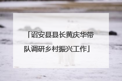 诏安县县长黄庆华带队调研乡村振兴工作