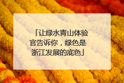 让绿水青山体验官告诉你，绿色是浙江发展的底色